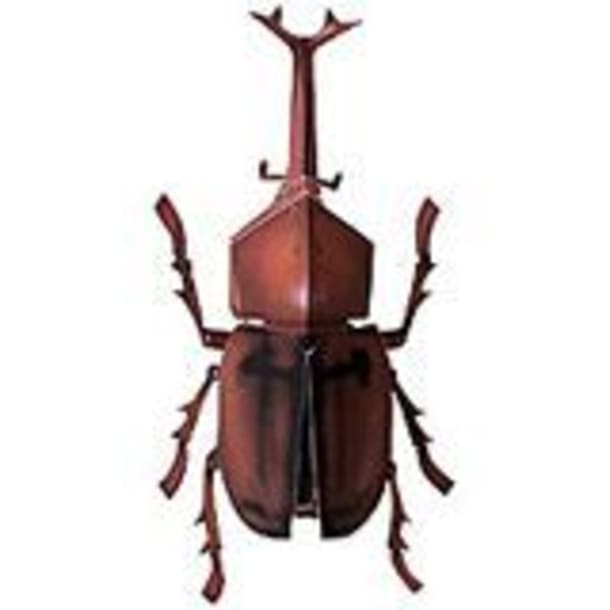 Бумажная модель Жук Allomyrina Dichotoma